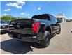 2024 Ford F-150 STX (Stk: TA-788B) in Calgary - Image 6 of 15