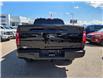 2024 Ford F-150 STX (Stk: TA-788B) in Calgary - Image 7 of 15