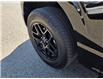 2024 Ford F-150 STX (Stk: TA-788B) in Calgary - Image 9 of 15