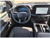 2024 Ford F-150 STX (Stk: TA-788B) in Calgary - Image 10 of 15