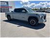 2022 Toyota Tundra  (Stk: X382257A) in Cranbrook - Image 7 of 20