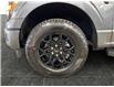 2026 Ford F-150 XLT (Stk: T0091) in ROSETOWN - Image 17 of 17