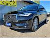 2025 Infiniti QX50 PURE AWD | LEATHER | REMOTE START |APPLE CAR PLAY (Stk: R12805) in St. Catharines - Image 3 of 30