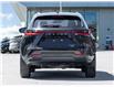 2025 Lexus NX 350 (Stk: 15U3635) in Richmond Hill - Image 7 of 27 2025 Lexus NX 350 (Stk: 15U3635) in Richmond Hill - Image 7 of 27