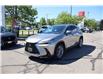 2023 Lexus NX 350 Base (Stk: 22U4025) in Mississauga - Image 1 of 31