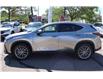 2023 Lexus NX 350 Base (Stk: 22U4025) in Mississauga - Image 2 of 31 2023 Lexus NX 350 Base (Stk: 22U4025) in Mississauga - Image 2 of 31
