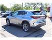 2023 Lexus NX 350 Base (Stk: 22U4025) in Mississauga - Image 3 of 31 2023 Lexus NX 350 Base (Stk: 22U4025) in Mississauga - Image 3 of 31