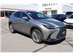 2023 Lexus NX 350 Base (Stk: 22U4025) in Mississauga - Image 7 of 31 2023 Lexus NX 350 Base (Stk: 22U4025) in Mississauga - Image 7 of 31