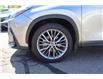 2023 Lexus NX 350 Base (Stk: 22U4025) in Mississauga - Image 10 of 31 2023 Lexus NX 350 Base (Stk: 22U4025) in Mississauga - Image 10 of 31