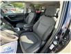 2025 Toyota RAV4 Hybrid XLE (Stk: 10121653A) in Markham - Image 11 of 32