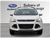 2013 Ford Escape SE (Stk: 260586AA) in Mississauga - Image 3 of 20 2013 Ford Escape SE (Stk: 260586AA) in Mississauga - Image 3 of 20