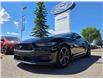 2025 Ford Mustang EcoBoost (Stk: 7199) in Calgary - Image 1 of 15