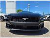 2025 Ford Mustang EcoBoost (Stk: 7199) in Calgary - Image 3 of 15