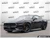 2026 Ford Mustang EcoBoost (Stk: AFL260465) in Hamilton - Image 1 of 25