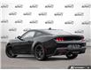2026 Ford Mustang EcoBoost (Stk: AFL260465) in Hamilton - Image 4 of 25