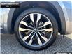 2022 Volkswagen Atlas 3.6 FSI Execline (Stk: P11801) in Brantford - Image 6 of 23 2022 Volkswagen Atlas 3.6 FSI Execline (Stk: P11801) in Brantford - Image 6 of 23