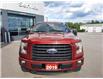 2016 Ford F-150 XLT (Stk: 9294A) in Cornwall - Image 8 of 30