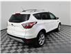 2017 Ford Escape Titanium (Stk: A21205) in Calgary - Image 6 of 21 2017 Ford Escape Titanium (Stk: A21205) in Calgary - Image 6 of 21