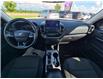 2024 Ford Bronco Sport Big Bend (Stk: JUD036) in Brandon - Image 10 of 20