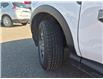 2024 Ford Bronco Sport Big Bend (Stk: JUD036) in Brandon - Image 20 of 20