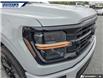 2026 Ford F-150 XLT (Stk: 28886) in Dartmouth - Image 8 of 24