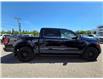 2024 Ford F-150 XLT (Stk: 7195) in Calgary - Image 5 of 14