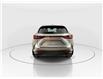 2026 Lexus NX 350  (Stk: 14T1814) in Markham - Image 6 of 18