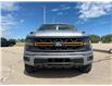 2024 Ford F-150 Tremor (Stk: U77289) in Hague - Image 3 of 15