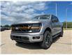 2024 Ford F-150 Tremor (Stk: U77289) in Hague - Image 4 of 15
