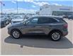 2020 Ford Escape SE (Stk: T-1770A) in Calgary - Image 4 of 25