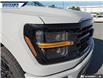 2026 Ford F-150 XLT (Stk: 28935) in Dartmouth - Image 8 of 24