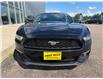 2017 Ford Mustang V6 (Stk: 24899) in Pembroke - Image 4 of 20