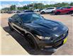 2017 Ford Mustang V6 (Stk: 24899) in Pembroke - Image 5 of 20