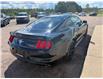 2017 Ford Mustang V6 (Stk: 24899) in Pembroke - Image 8 of 20