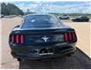 2017 Ford Mustang V6 (Stk: 24899) in Pembroke - Image 9 of 20