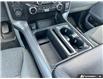 2024 Ford F-150 XLT (Stk: B89211) in Okotoks - Image 18 of 25