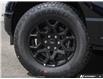 2026 Ford F-150 XLT (Stk: W3L0117T5) in Oakville - Image 7 of 25