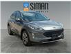 2021 Ford Escape SEL (Stk: P3444) in Regina - Image 7 of 18