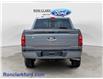 2026 Ford F-150 XLT (Stk: 17200) in Wyoming - Image 6 of 15