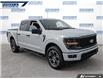 2025 Ford F-150 STX (Stk: P5060A) in Dartmouth - Image 6 of 24