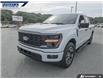 2025 Ford F-150 STX (Stk: P5060A) in Dartmouth - Image 8 of 24