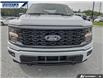 2025 Ford F-150 STX (Stk: P5060A) in Dartmouth - Image 9 of 24
