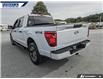 2025 Ford F-150 STX (Stk: P5060A) in Dartmouth - Image 10 of 24