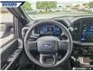 2025 Ford F-150 STX (Stk: P5060A) in Dartmouth - Image 13 of 24