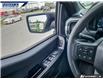 2025 Ford F-150 STX (Stk: P5060A) in Dartmouth - Image 16 of 24