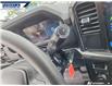 2025 Ford F-150 STX (Stk: P5060A) in Dartmouth - Image 17 of 24