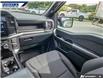 2025 Ford F-150 STX (Stk: P5060A) in Dartmouth - Image 24 of 24