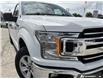 2019 Ford F-150 XLT (Stk: P199802) in Grimsby - Image 8 of 25