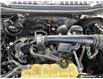 2019 Ford F-150 XLT (Stk: P199802) in Grimsby - Image 10 of 25