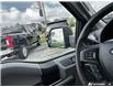 2019 Ford F-150 XLT (Stk: P199802) in Grimsby - Image 17 of 25